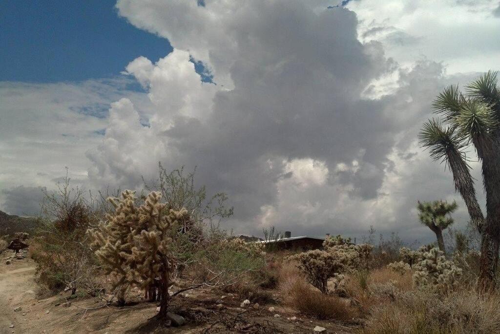 Steph'S Panorama Paradise-Nat'L Park Minutes Away Joshua Tree Exterior foto