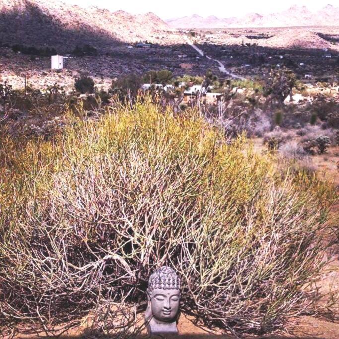 Steph'S Panorama Paradise-Nat'L Park Minutes Away Joshua Tree Exterior foto