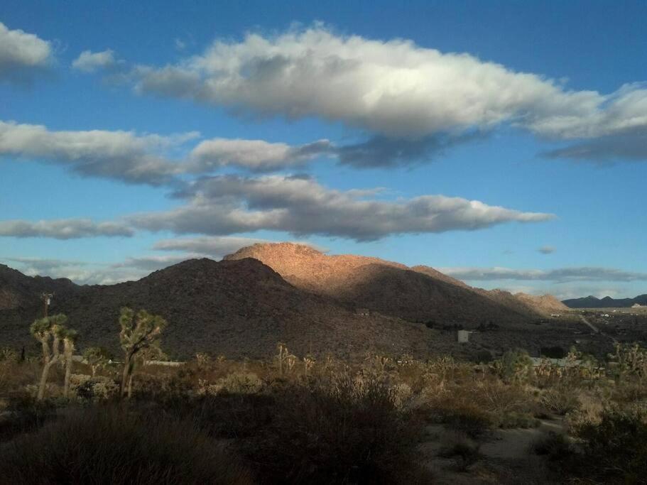 Steph'S Panorama Paradise-Nat'L Park Minutes Away Joshua Tree Exterior foto