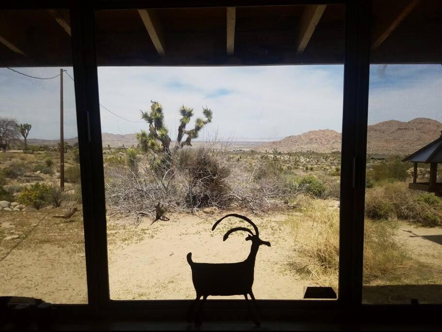 Steph'S Panorama Paradise-Nat'L Park Minutes Away Joshua Tree Exterior foto
